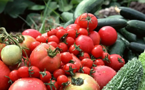 從農(nóng)田到餐桌，健康食材一站式供應