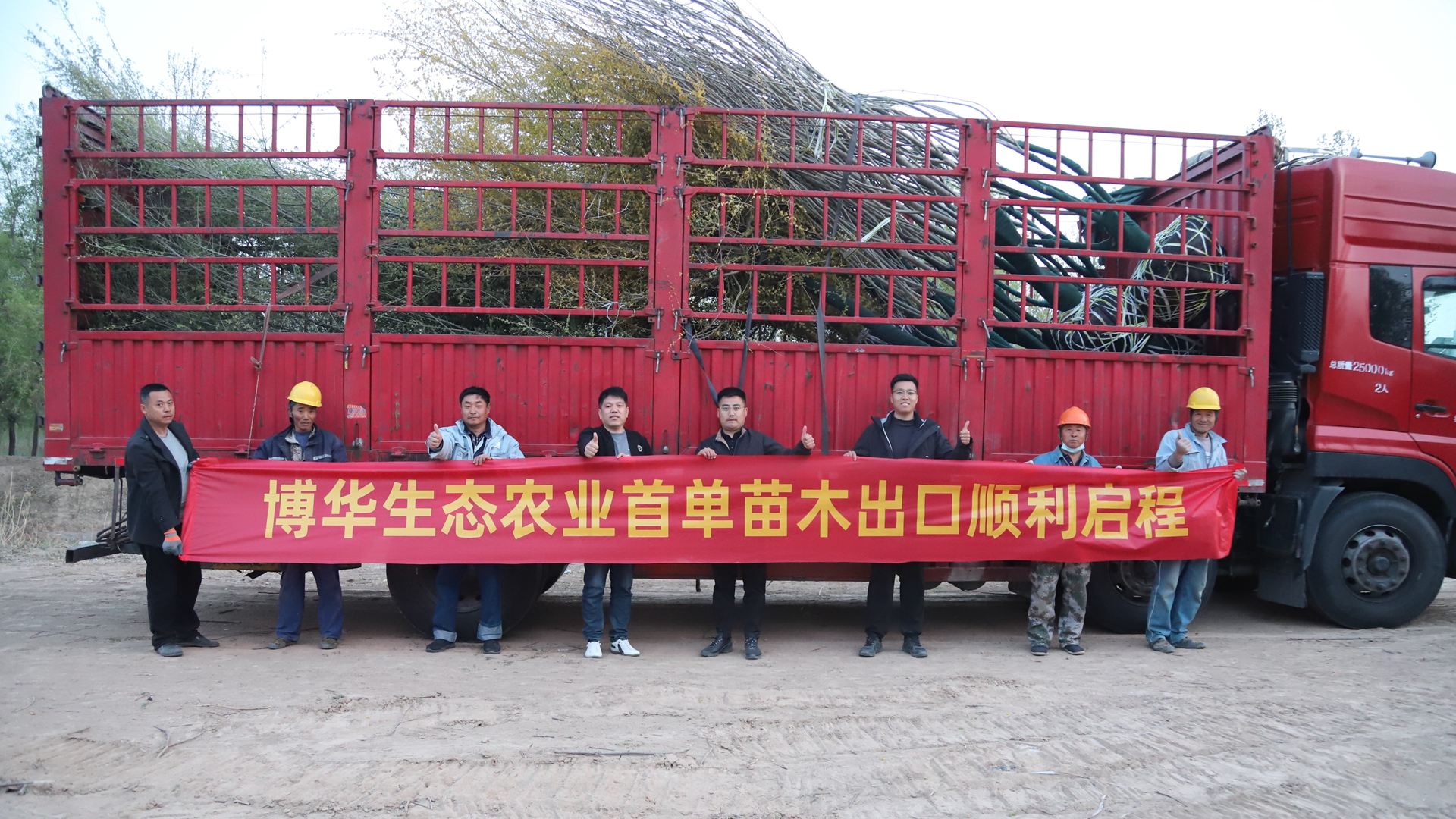 博華苗木“出海”闖世界——首單苗木出口業(yè)務(wù)順利交付