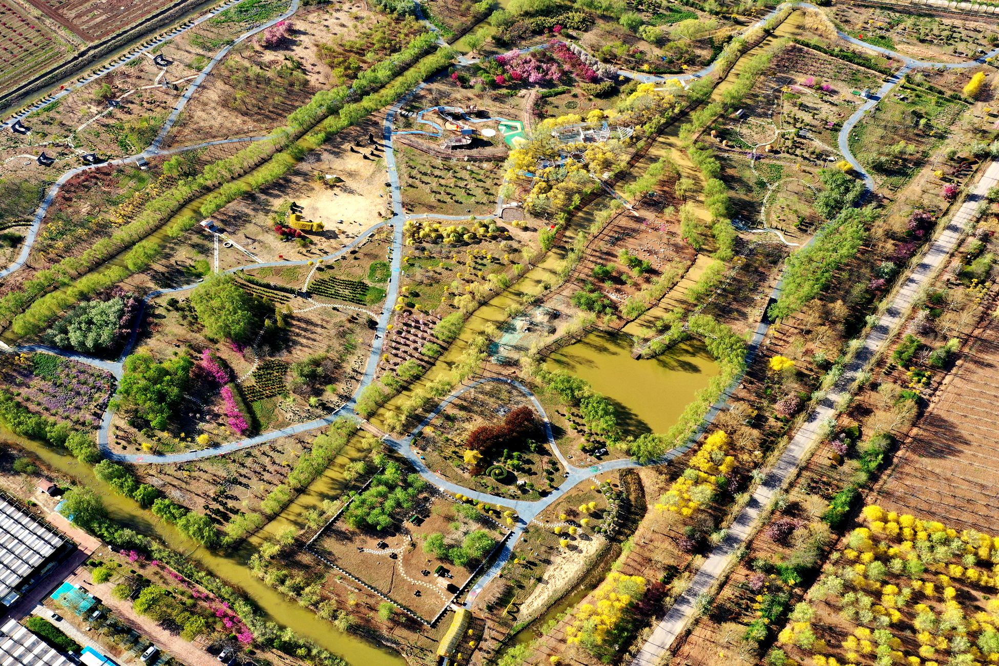 孔子草花園4月29日正式開園啦！